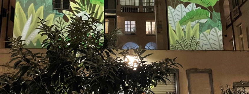 tutta la luce che cominciamo a vedere